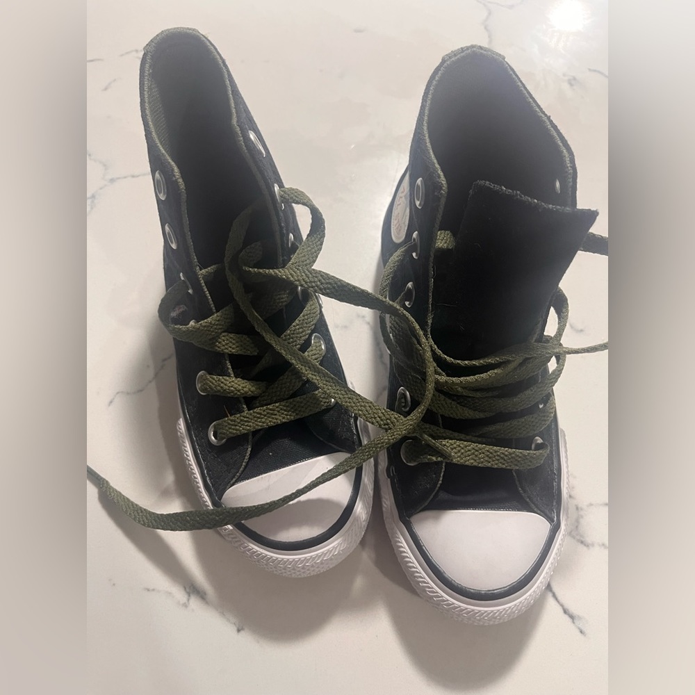 Converse Dinosaur Chuck Taylors (brand new no box)